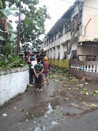 Evakuasi Pohon Tumbang di RT 19 Krandohan