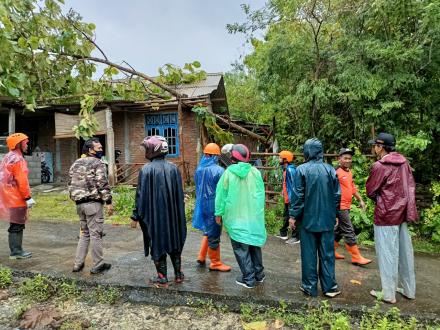 Hujan Deras Menyebabkan Pohon Tumbang di Beberapa Titik di Pendowoharjo