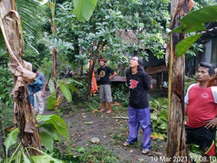 Dua Pohon Tumbang Menyusul Hujan Deras Sore Ini