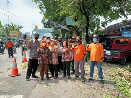 DLH, Dishub Bantul dan FPRB Siaga Pendowoharjo Lakukan Giat Pemangkasan Pohon 