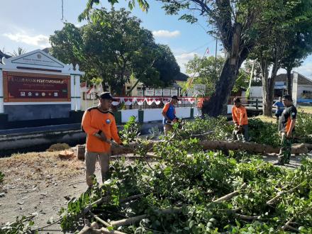 Relawan FPRB Siaga Pendowoharjo Tebang Pohon Area Kalurahan