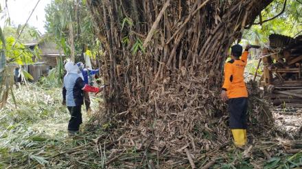 Pengkondisian Rumpun Bambu di Padukuhan Dagen Bersama FPRB SIAGA