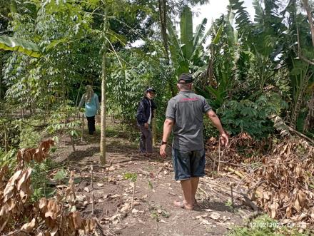 Cek Lokasi TKK di Padukuhan Rogoitan 