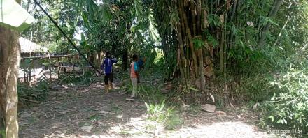 FPRB Kegiatan Sosial Tebang Rumpun Bambu di Wilayah RT06