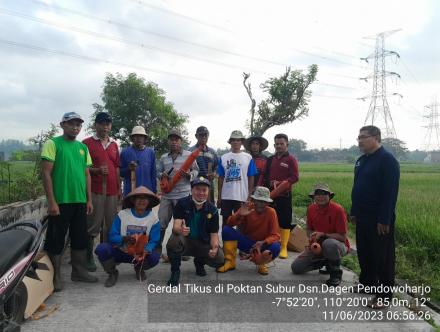 Kelompok Tani Subur Lakukan Gerdal Tikus