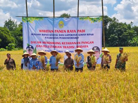 Bupati Bantul Hadiri Wiwitan Di Blunyahan Pendowoharjo