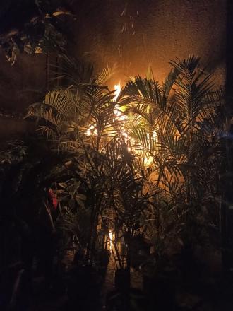 Kegiatan OTT oleh FPRB SIAGA Pendowoharjo