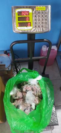 KDMP Pendowoharjo Kembali Suplai Fillet Lele ke SPPG Sanden